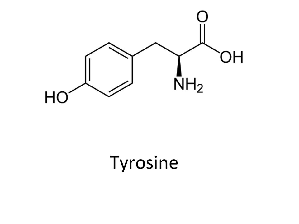 Tyrosin v abslim