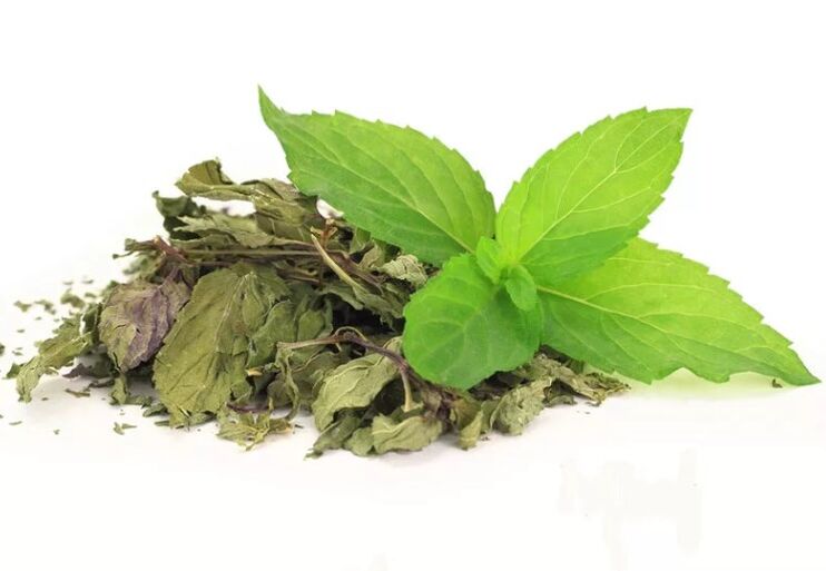 Zelený čaj v abslim